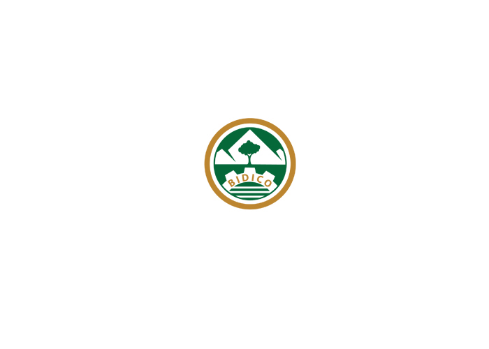 Thiết kế logo doanh nghiệp bất động sản Bảo Thư tại TP HCM