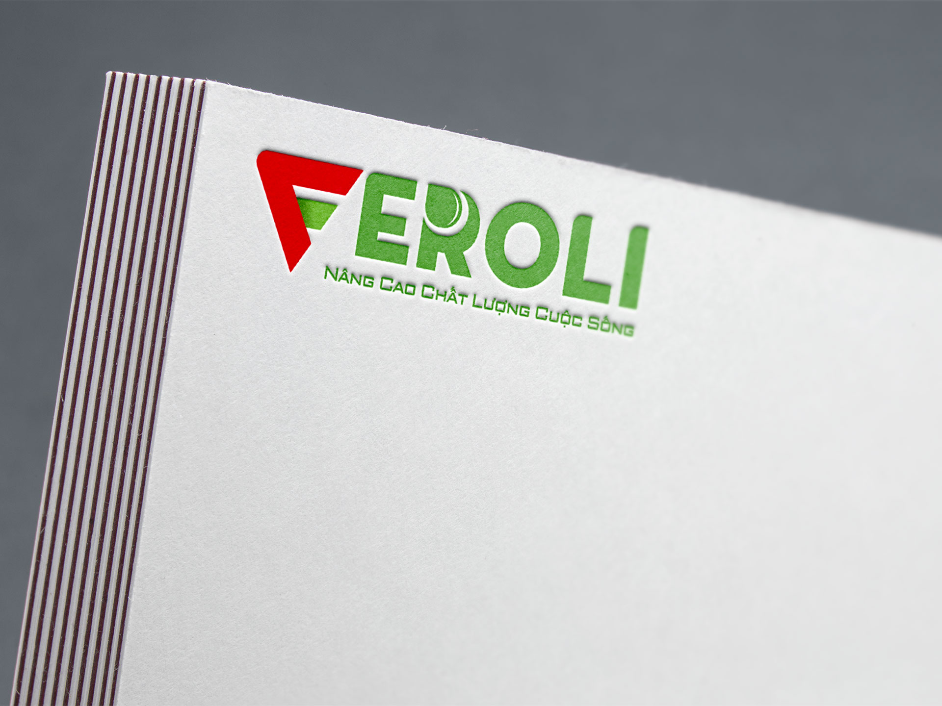 Thiết kế logo máy lọc nước Feroli tại Hà Nội