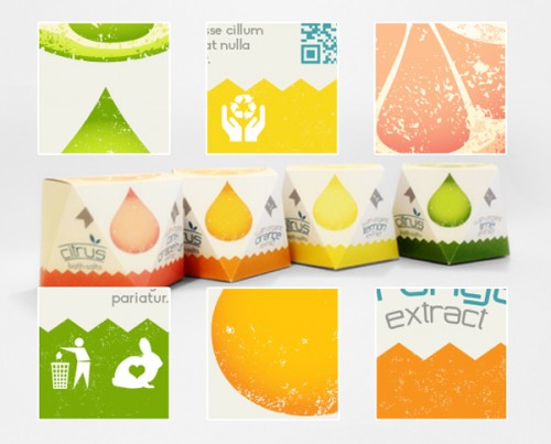 graphicriver-6603796-citrus-bath-salts-packaging-inline-image-preview-source3
