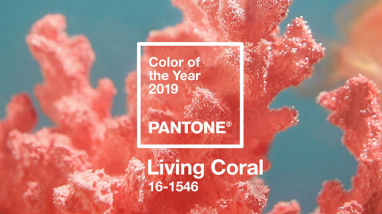 Màu sắc của năm của Pantone 2019