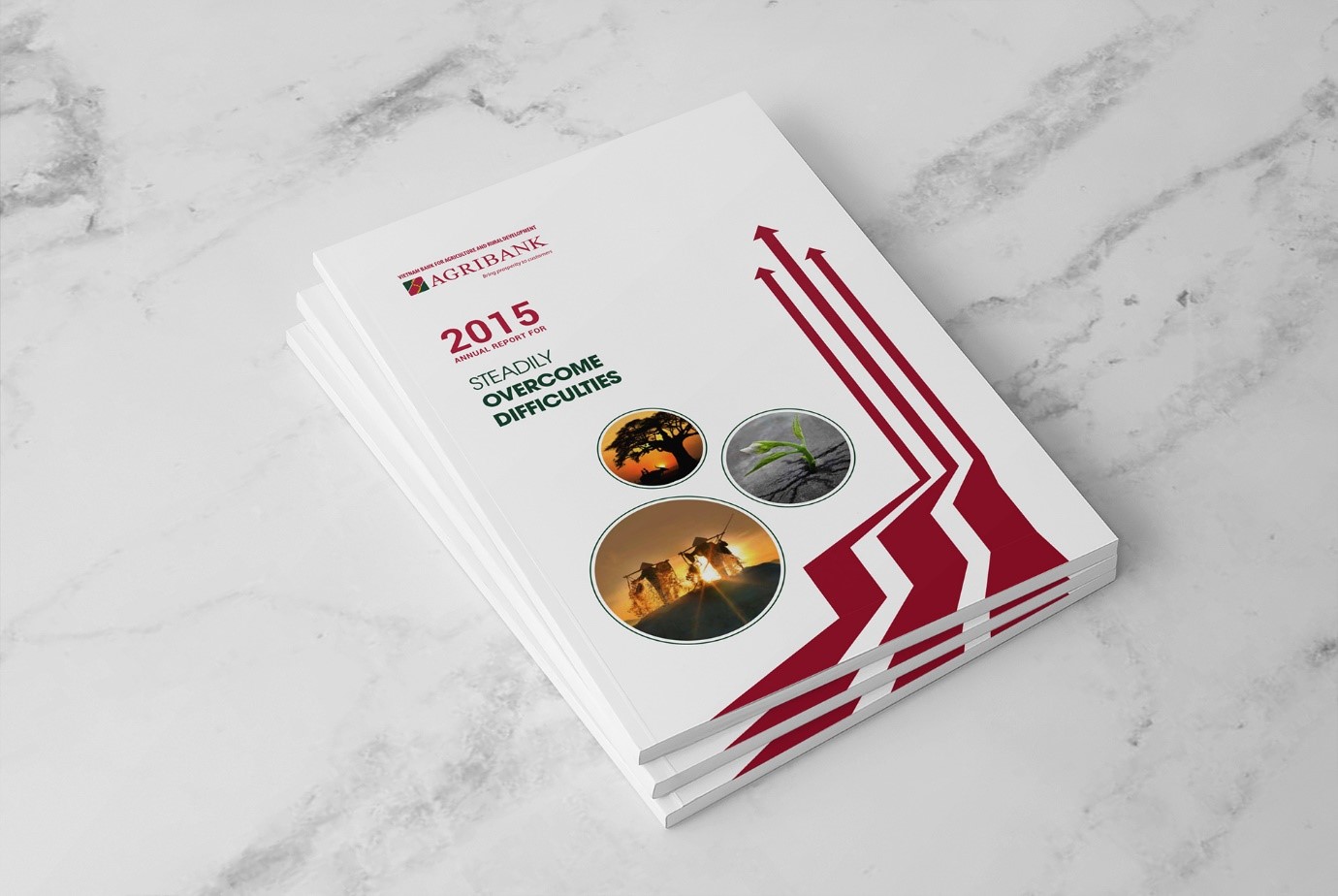 Báo cáo thường niên Agribank 2015 (2)