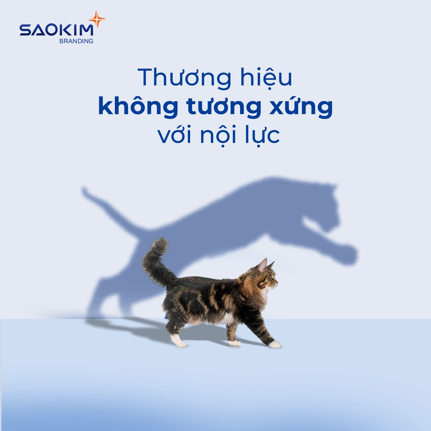Tái định vị khi thương hiệu không tương xứng với nội lực