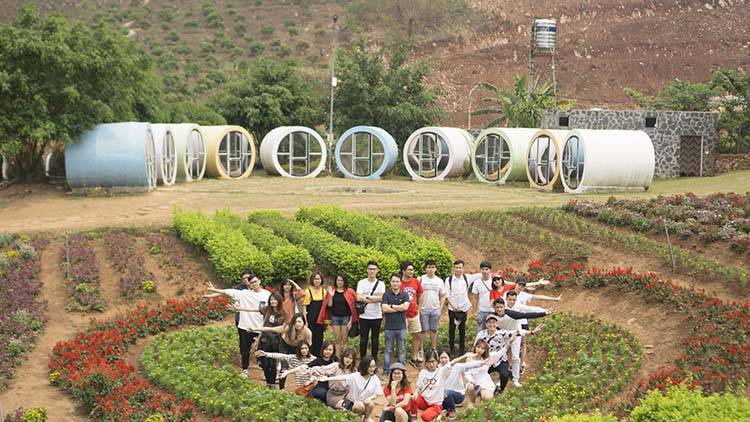 Sao-Kim-tham-quan-Moc-Chau-2019