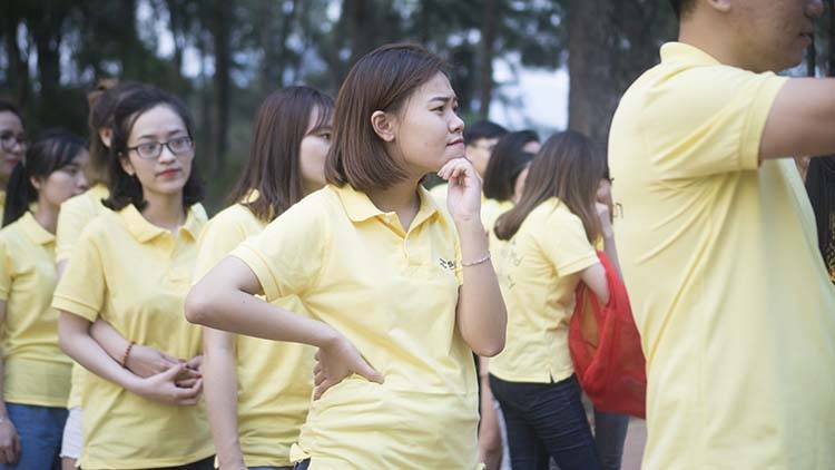 Sao-Kim-tham-quan-Moc-Chau-2019