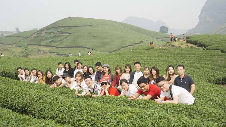 Sao-Kim-tham-quan-Moc-Chau-2019