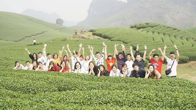 Sao-Kim-tham-quan-Moc-Chau-2019