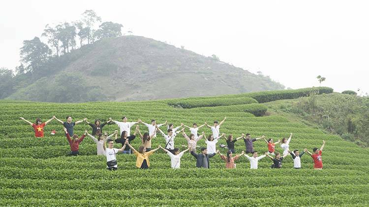 Sao-Kim-tham-quan-Moc-Chau-2019