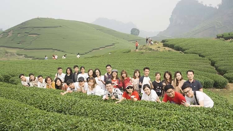 Sao-Kim-tham-quan-Moc-Chau-2019