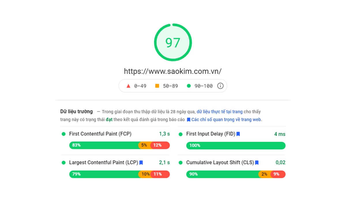 Ảnh minh họa phân tích Core Web Vital trên Google PageSpeed Ảnh minh họa phân tích Core Web Vital trên Google PageSpeed