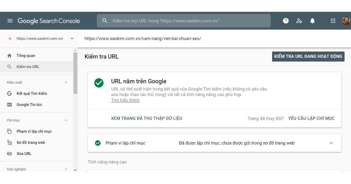 Yêu cầu lập chỉ mục bài viết trong Google Search Console Yêu cầu lập chỉ mục bài viết trong Google Search Console