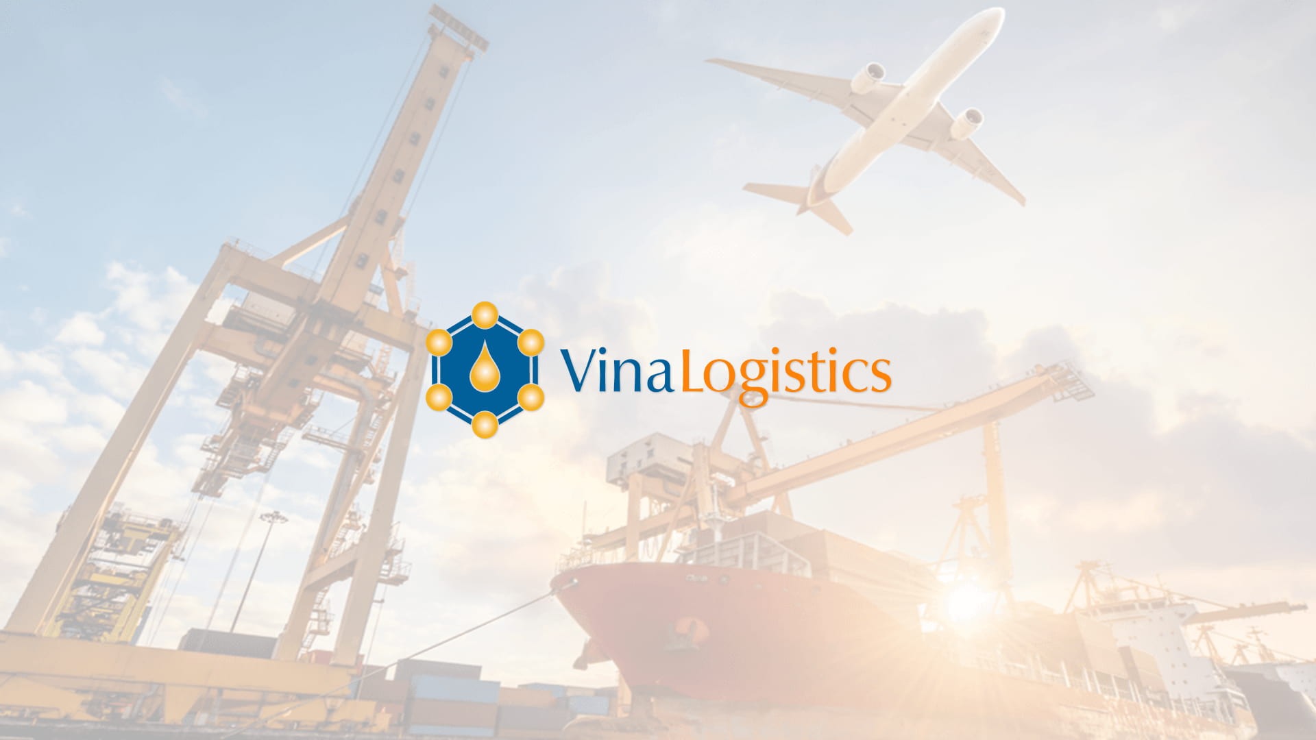 Dự án thiết kế thương hiệu Vina Logistics - 3