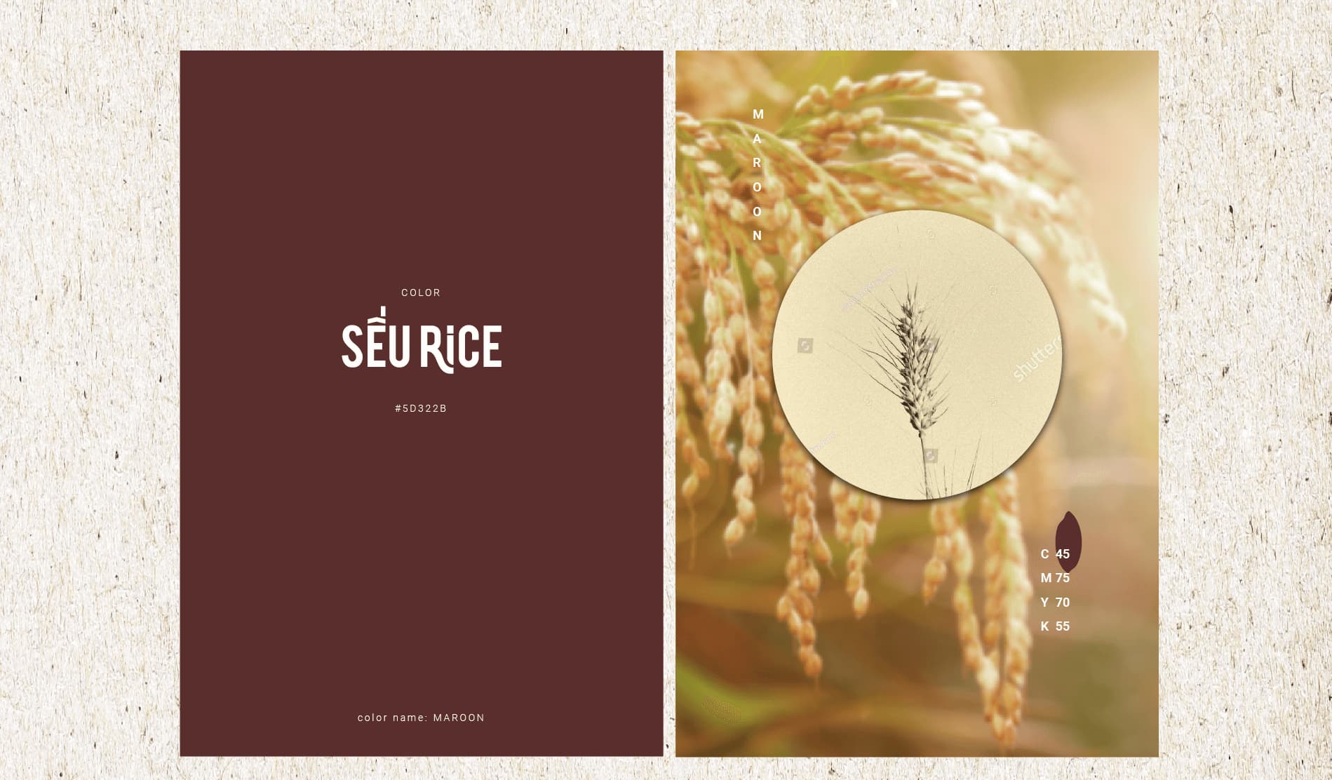 Dự án thiết kế thương hiệu SẾU RICE - 11