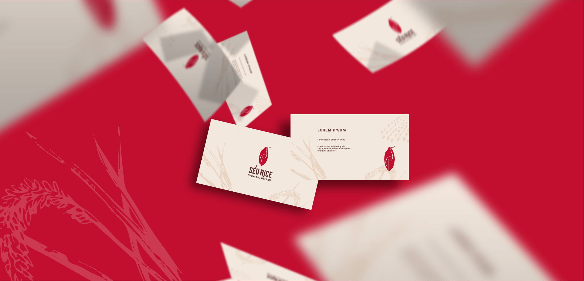 Dự án thiết kế thương hiệu SẾU RICE - Thiết kế Name Card