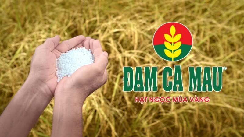 Bối cảnh dự án