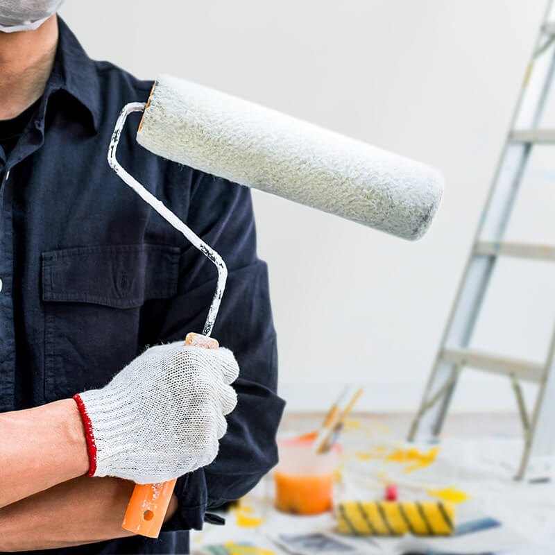 Dự án thiế kế bao bì nhãn mác sản phẩm Sơn TOTORO - Bối cảnh dự án