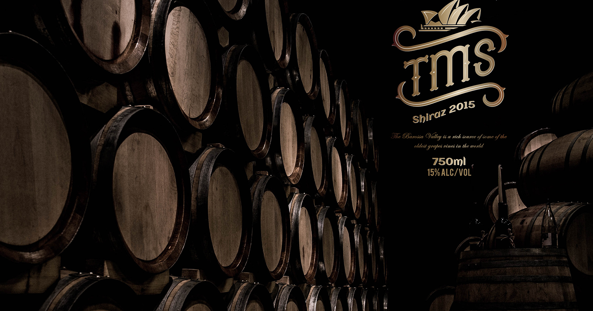 Dự án thiết kế bao bì nhãn mác sản phẩm TMS - 11