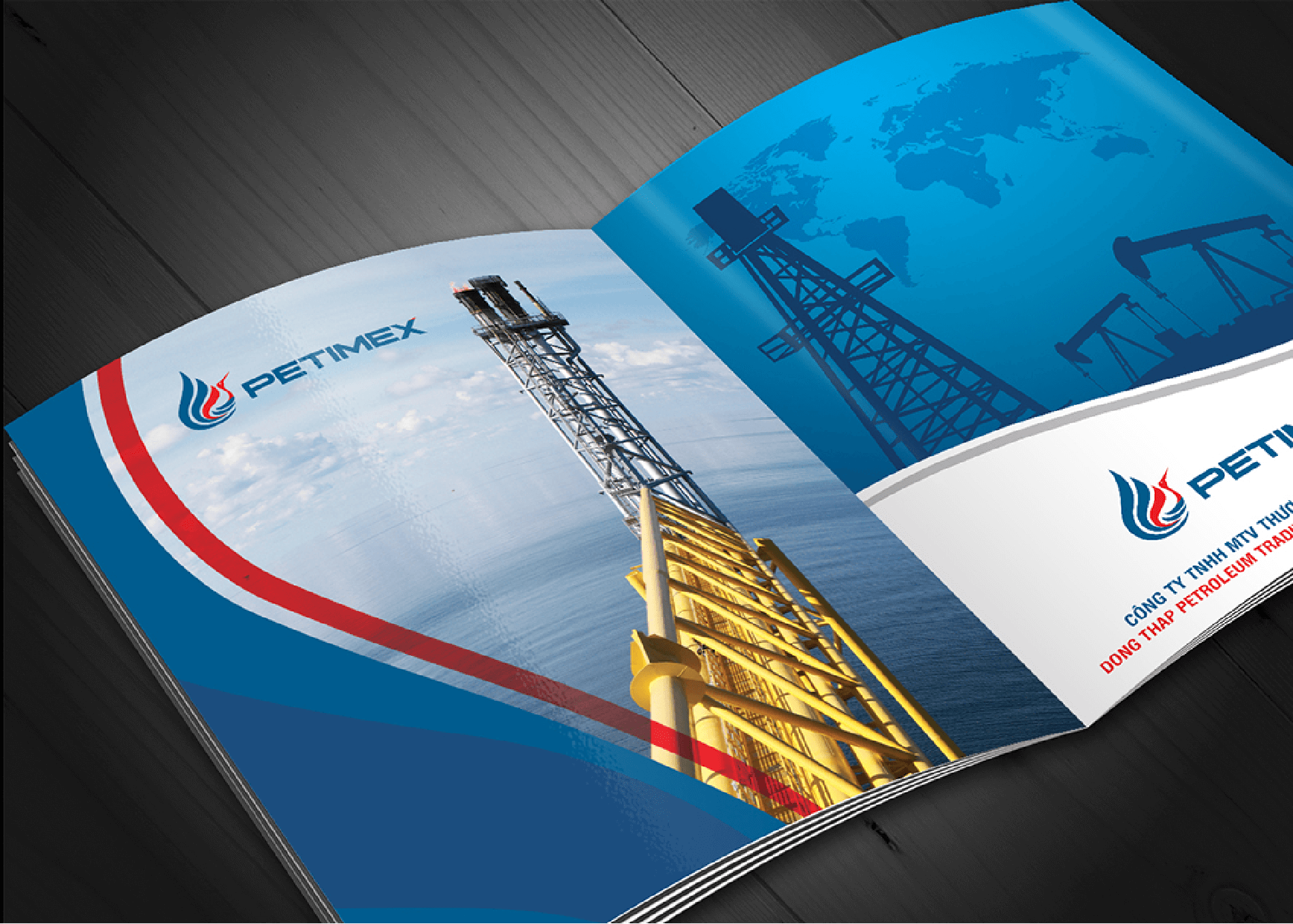 Dự án thiết kế thương hiệu PETIMEX - 11