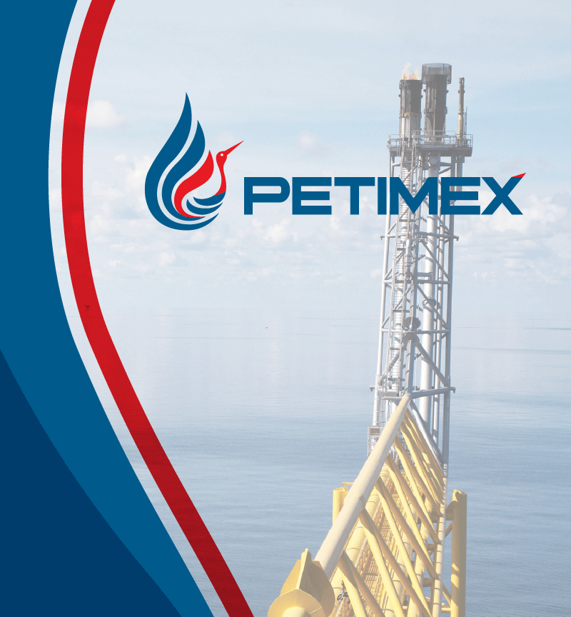 Dự án thiết kế thương hiệu, thiết kế website Petimex - Sao Kim Branding