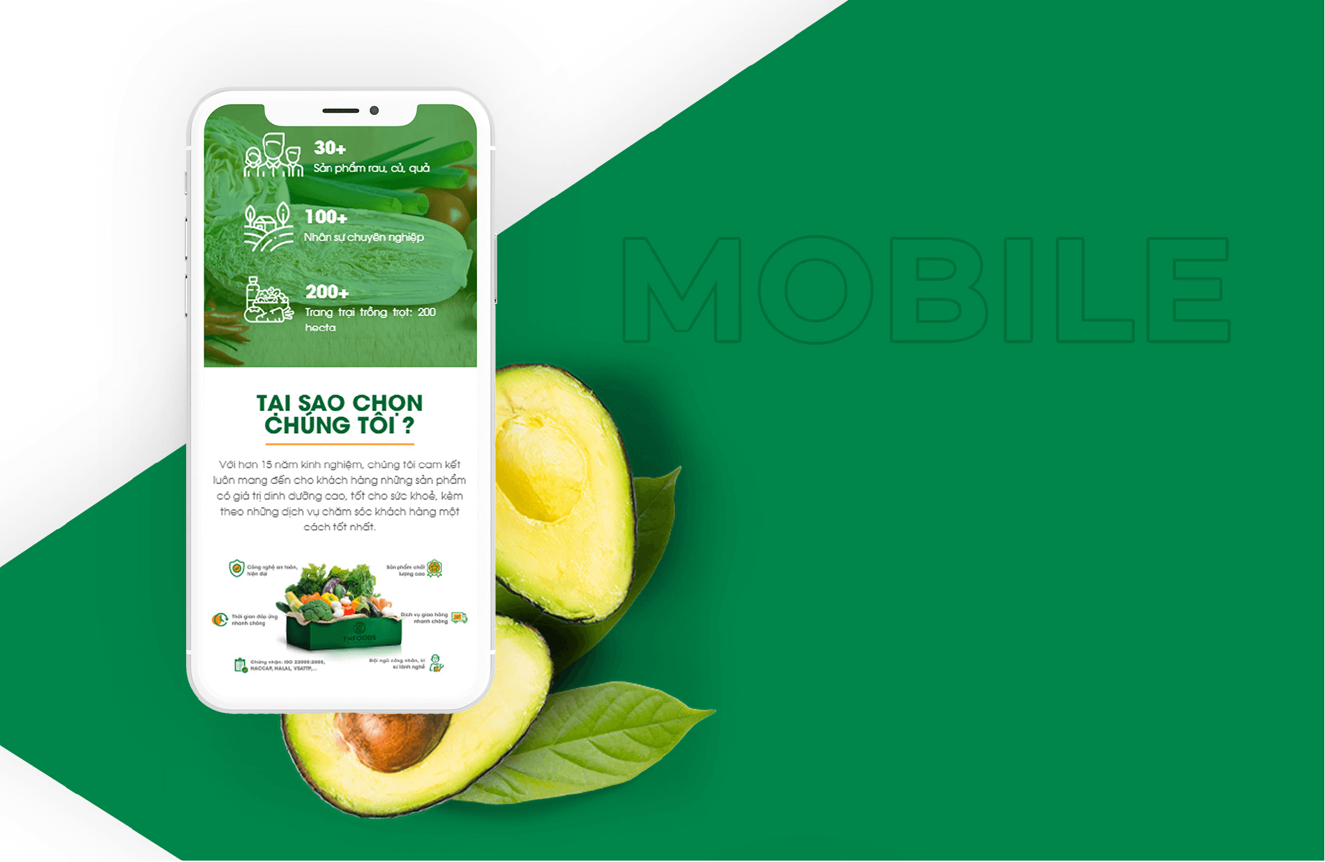 Dự án thiết kế thương hiệu, thiết kế website, nhận diện TN FOODS - 15