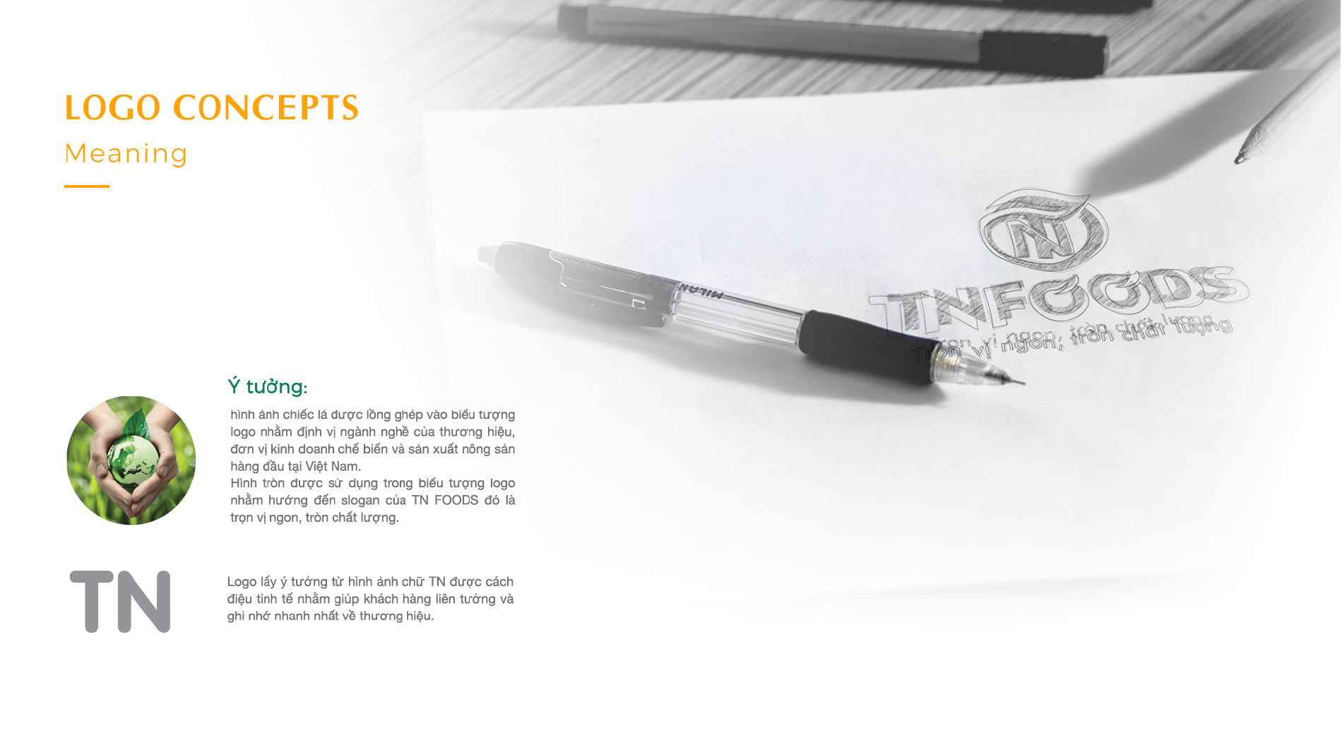 Dự án thiết kế thương hiệu, thiết kế website, nhận diện TN FOODS - 5