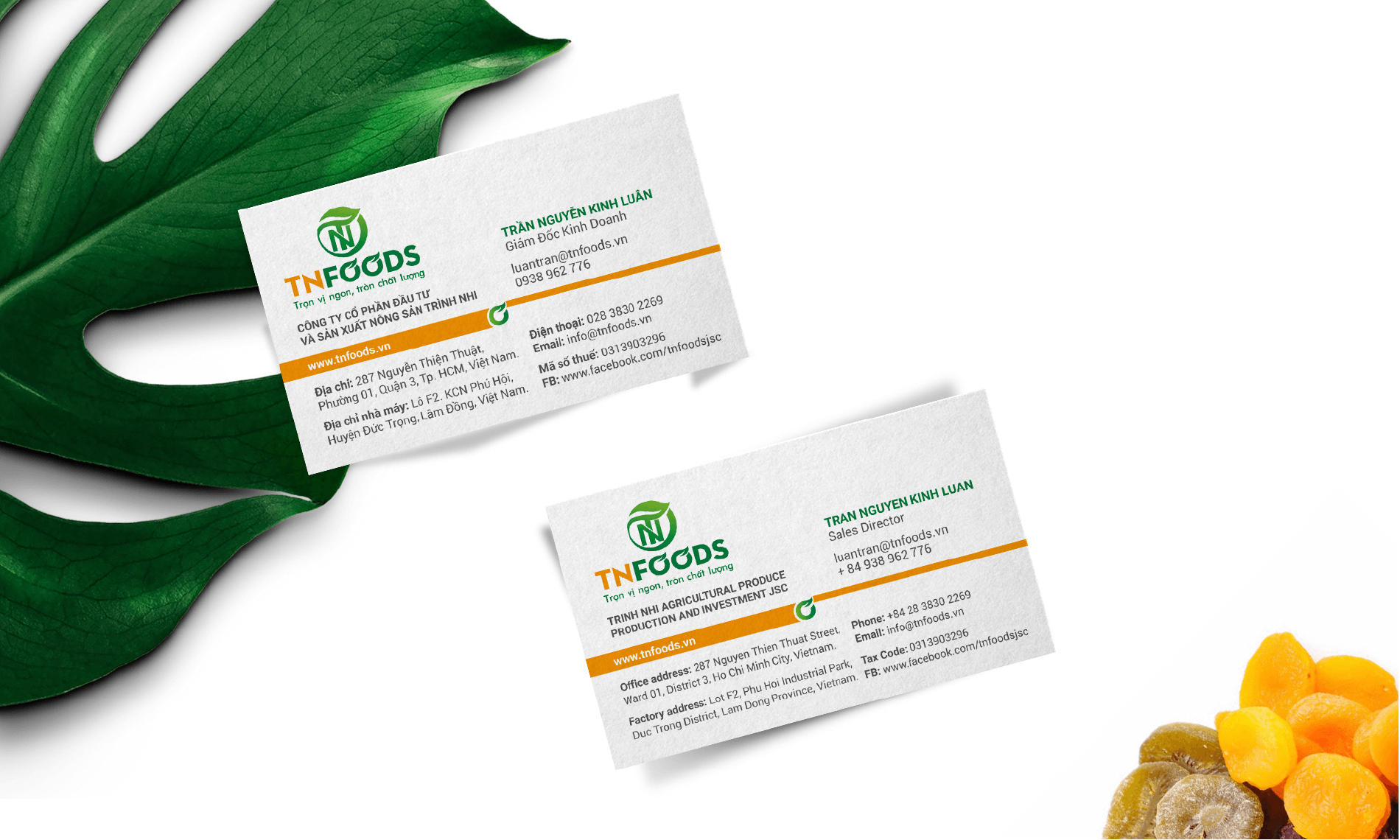 Dự án thiết kế thương hiệu, thiết kế website, nhận diện TN FOODS - Danh thiếp