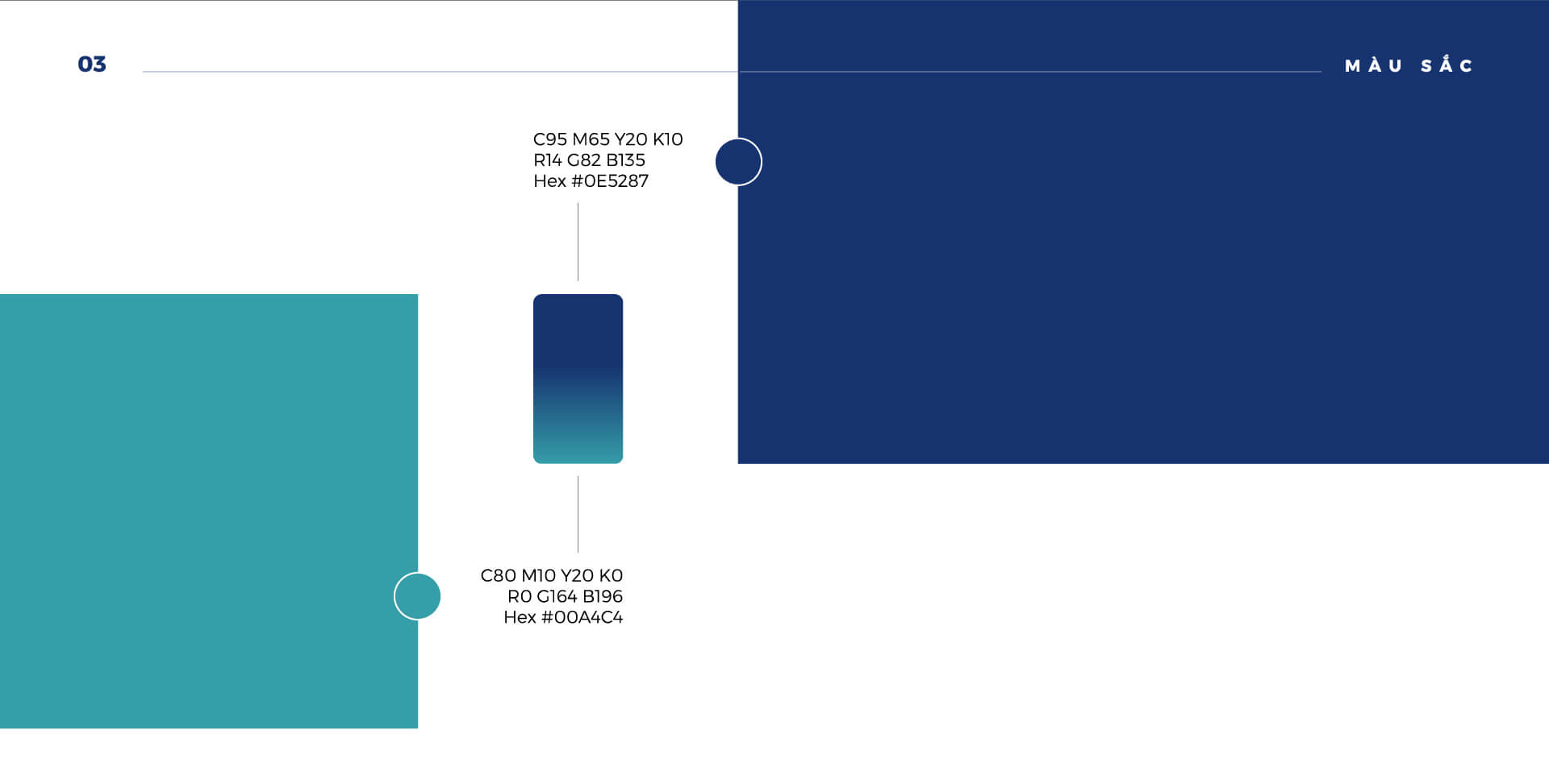 du-an-thiet-ke-thuong-hieu-xay-dung-thuong-hieu-thien-nam-group-07