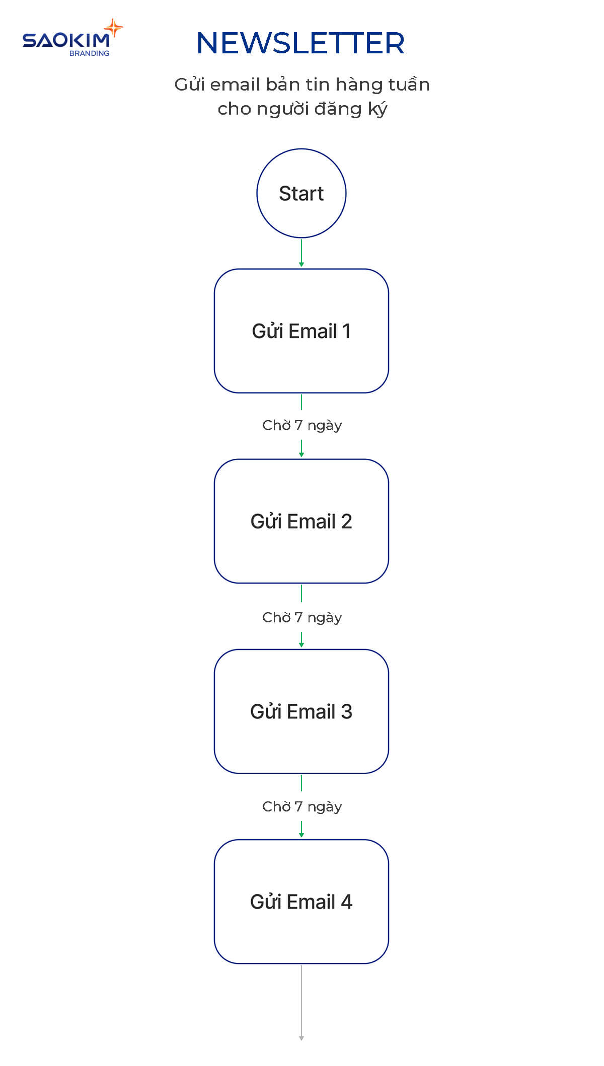 Ví dụ chiến dịch email marketing - Newsletter