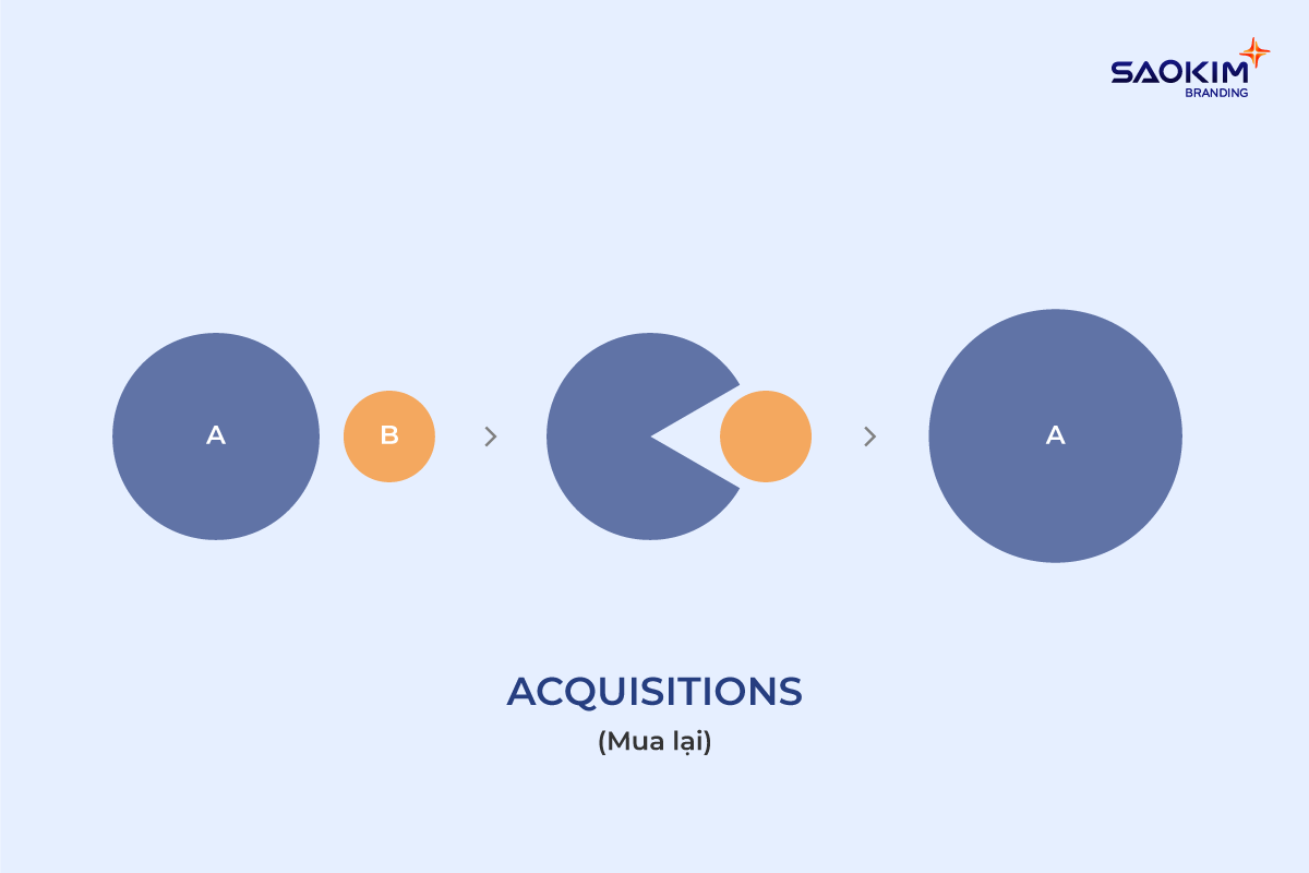 Hoạt động mua lại doanh nghiệp (Acquisitions)