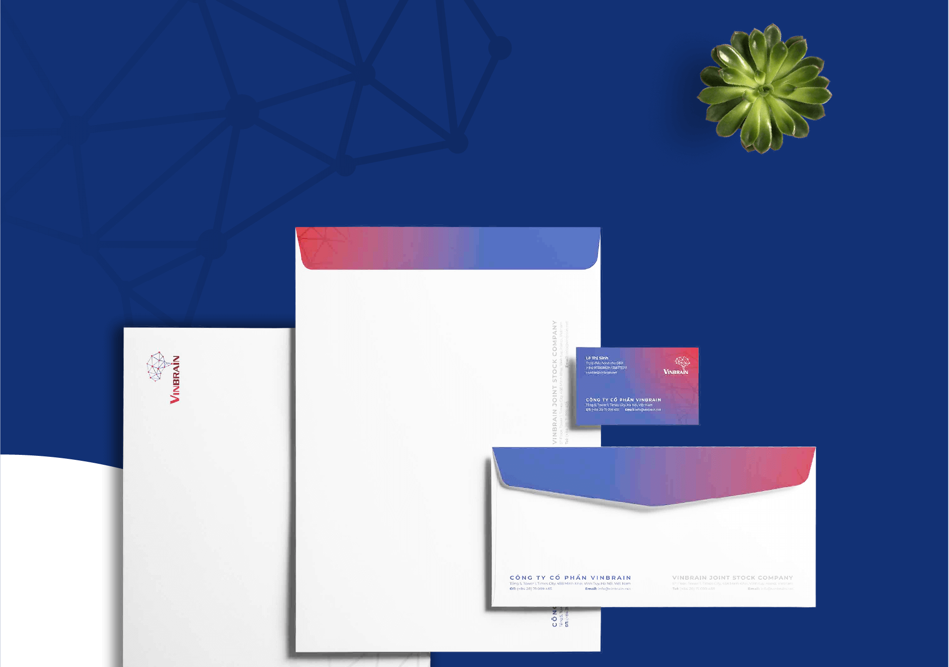 Dự án thiết kế thương hiệu VinBrain - 13