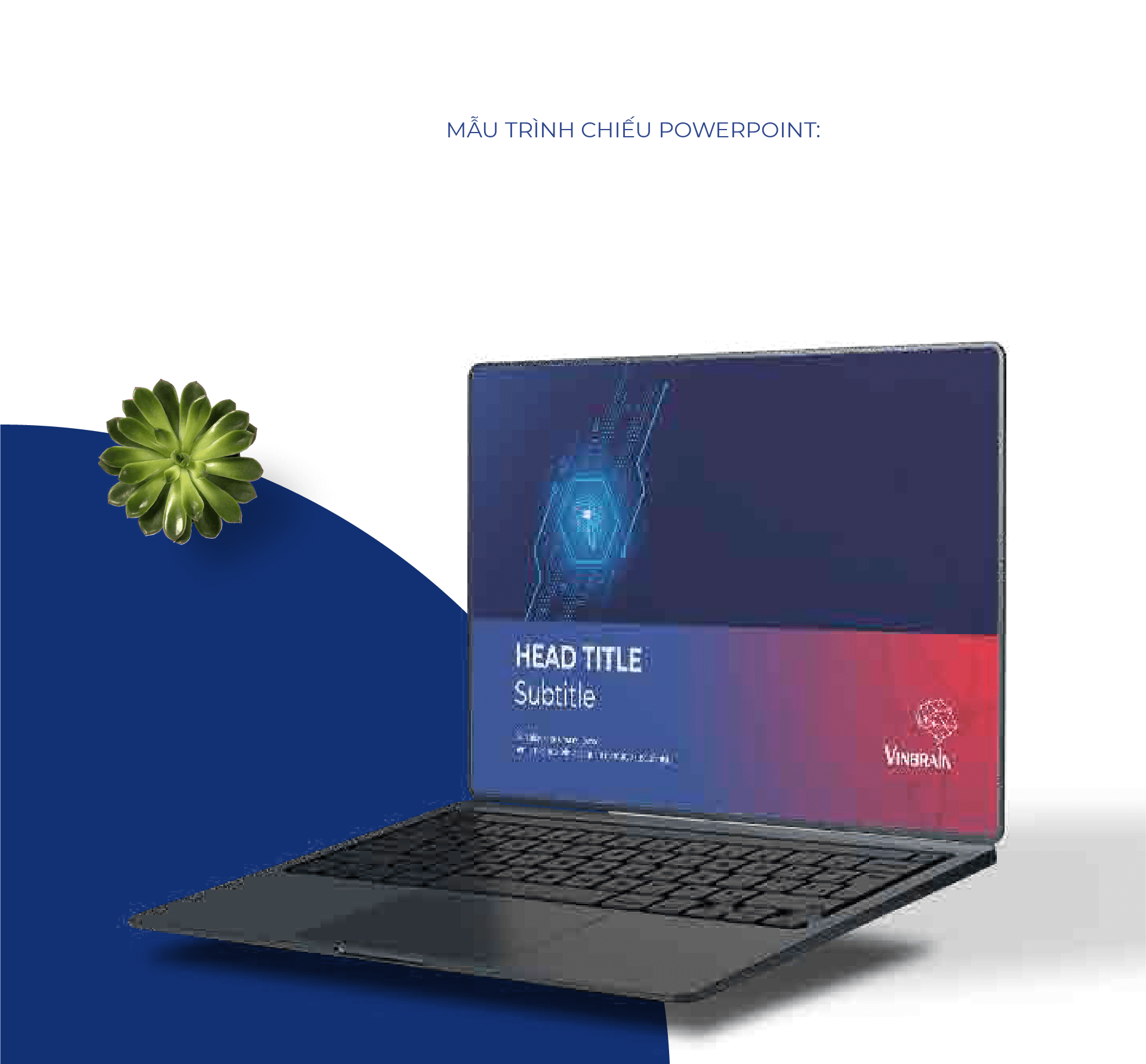 Dự án thiết kế thương hiệu VinBrain - 17