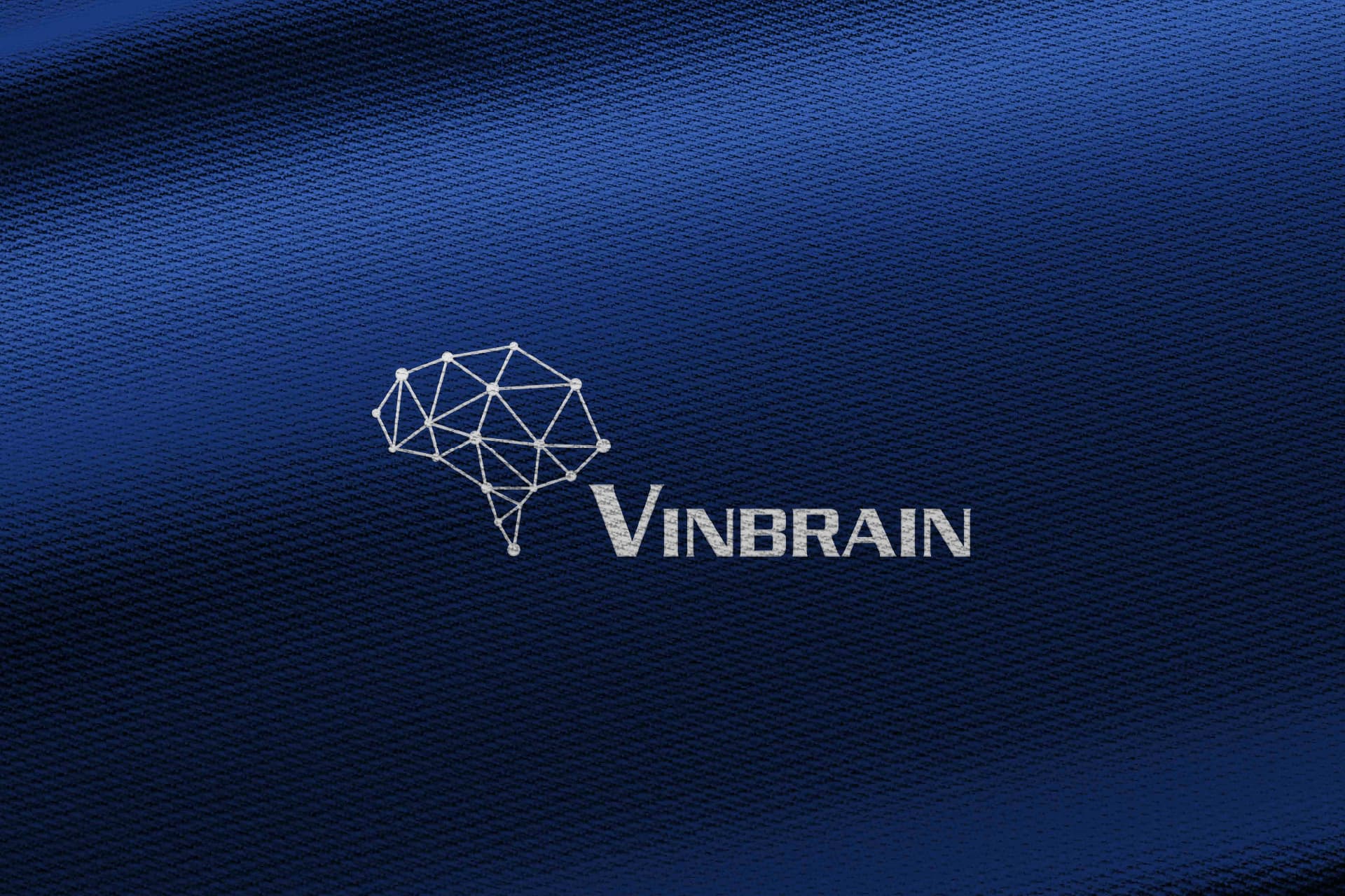 Dự án thiết kế thương hiệu VinBrain - 20