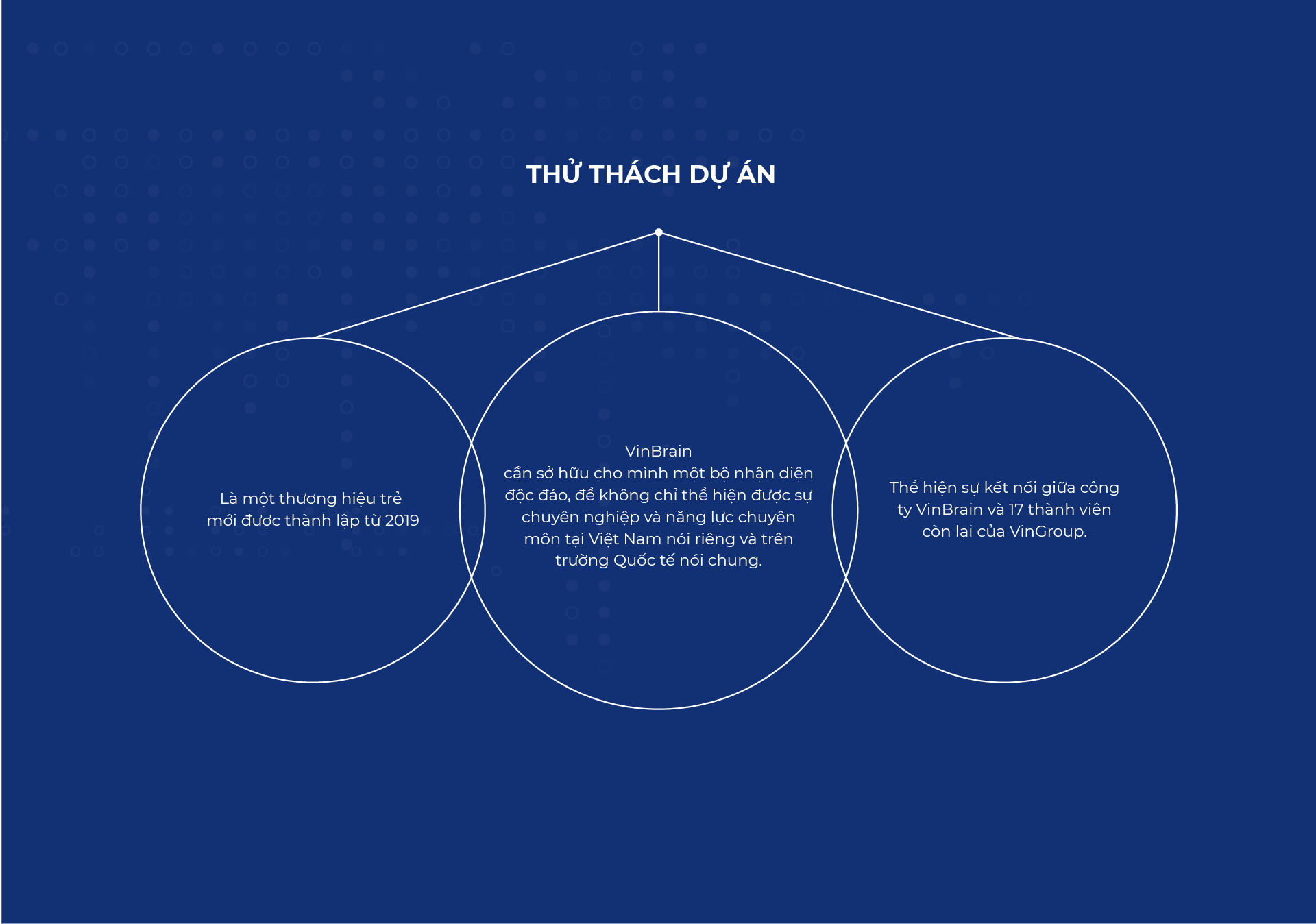 Dự án thiết kế thương hiệu VinBrain - 5