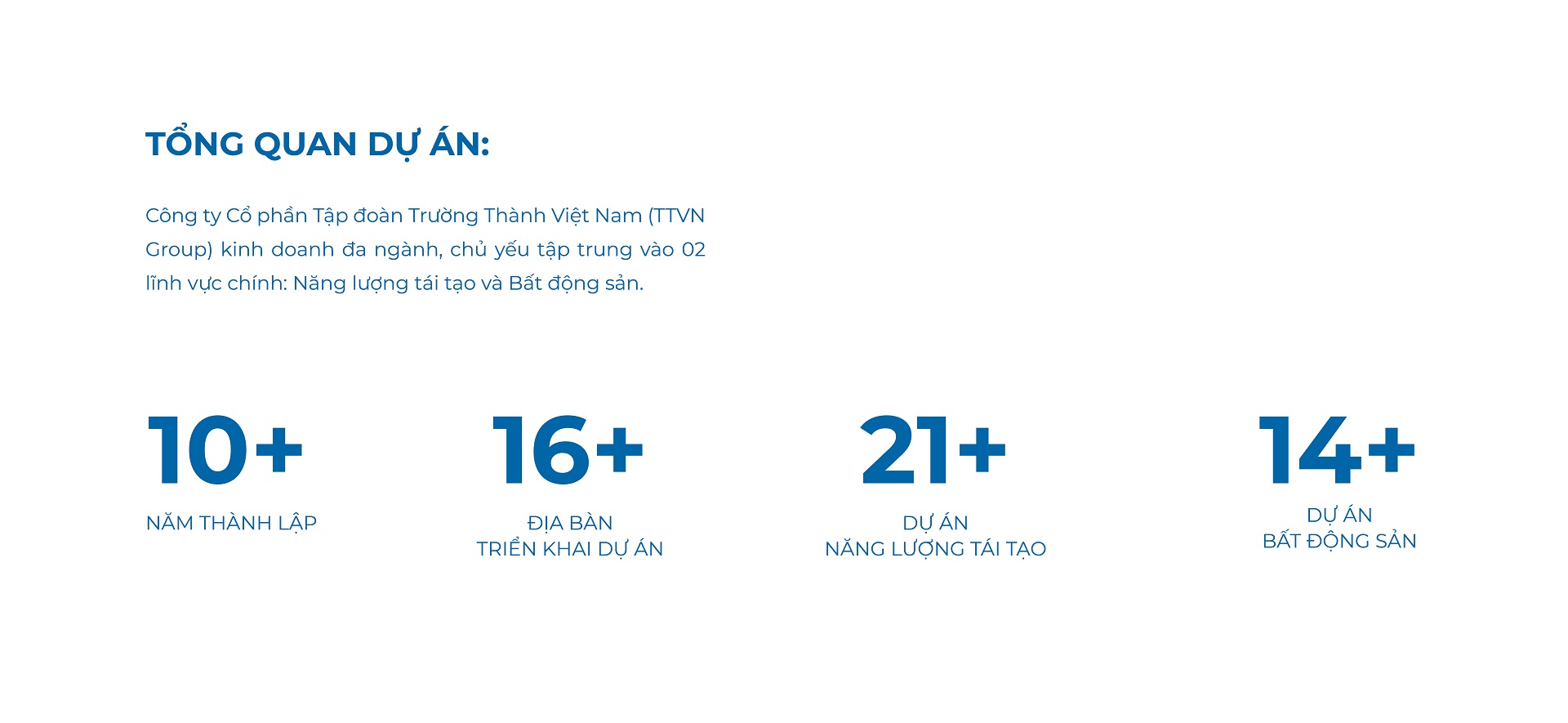 Thiết kế nhận diện thương hiệu TTVN Group - 3