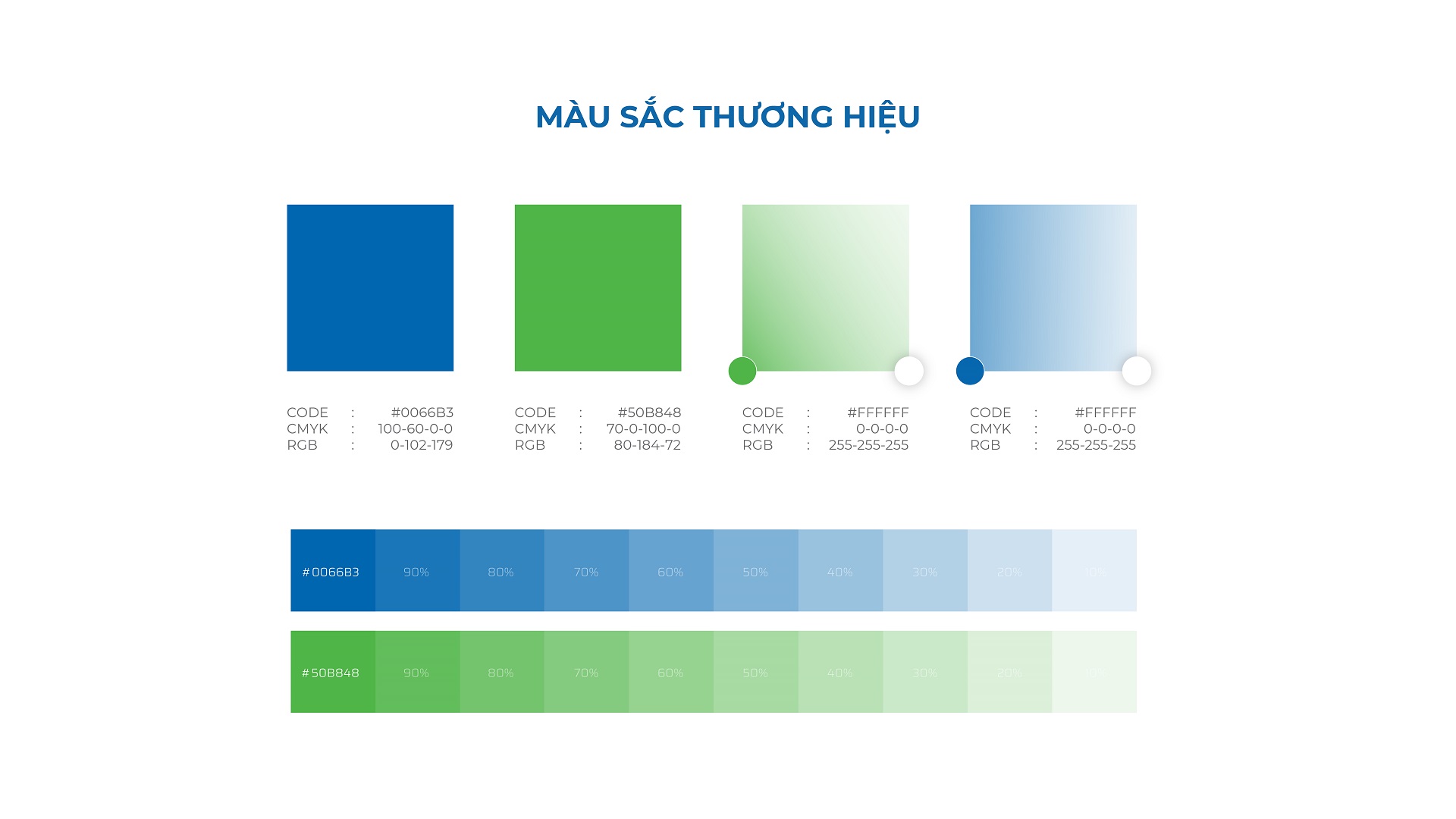 Thiết kế nhận diện thương hiệu TTVN Group - 9