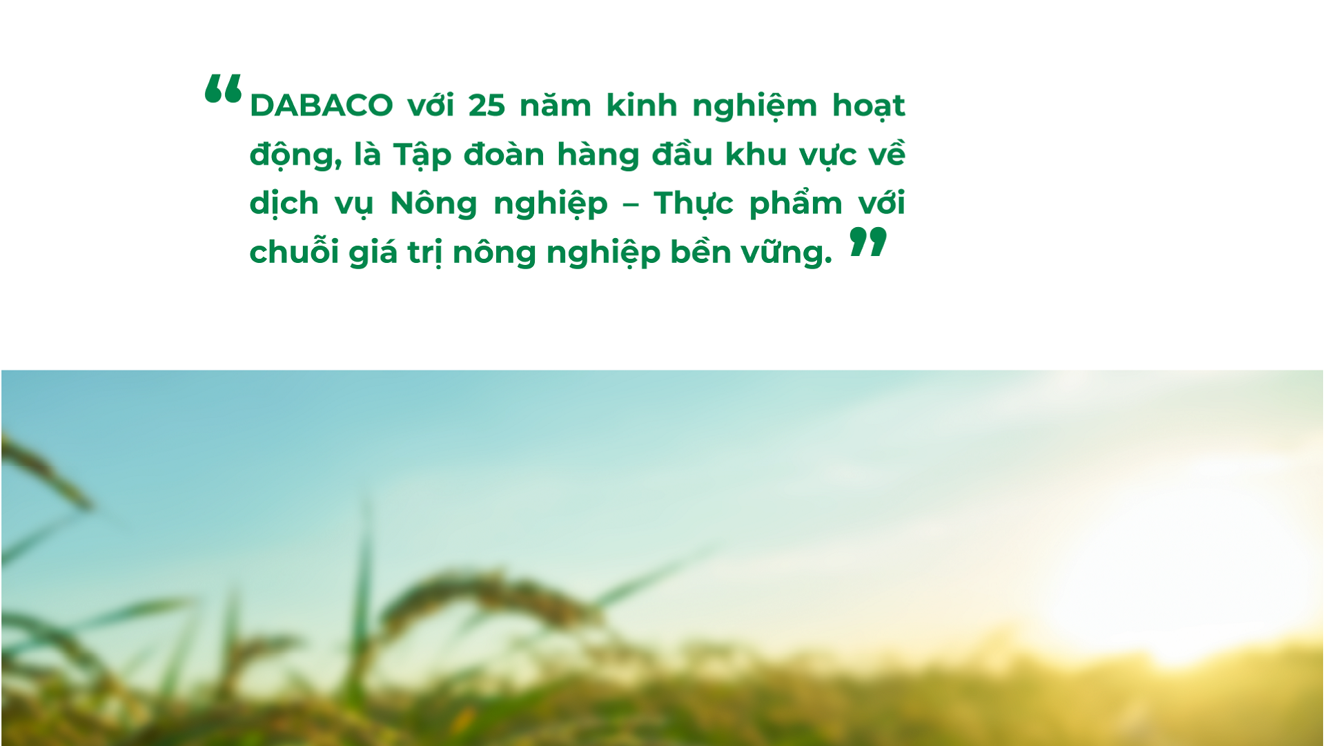 Dự án thiết kế bộ nhận diện thương hiệu, thiết kế logo DABACO GROUP của Sao Kim Branding - 51
