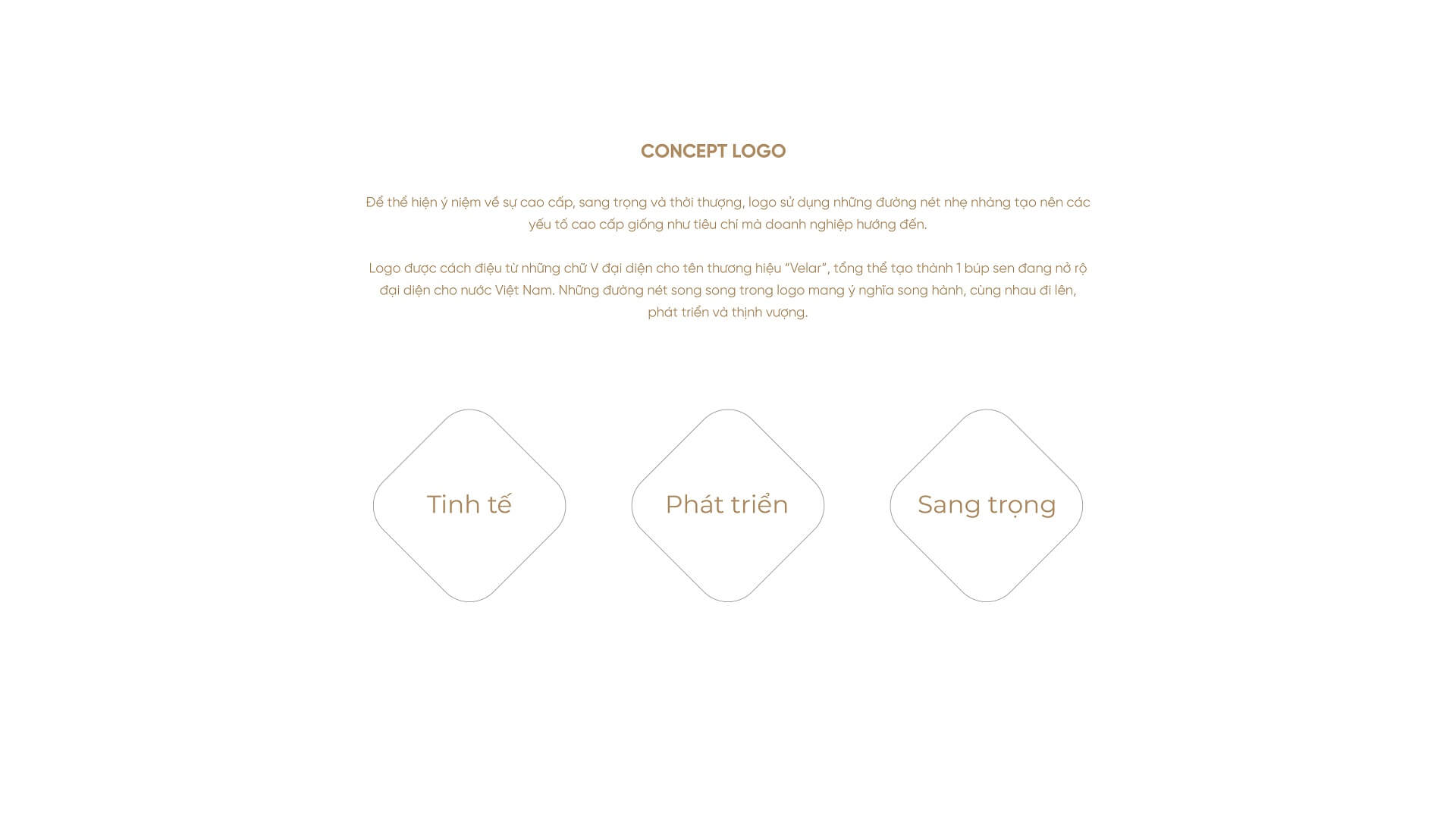 Dự án thiết kế thương hiệu, thiết kế logo VELAR - 3