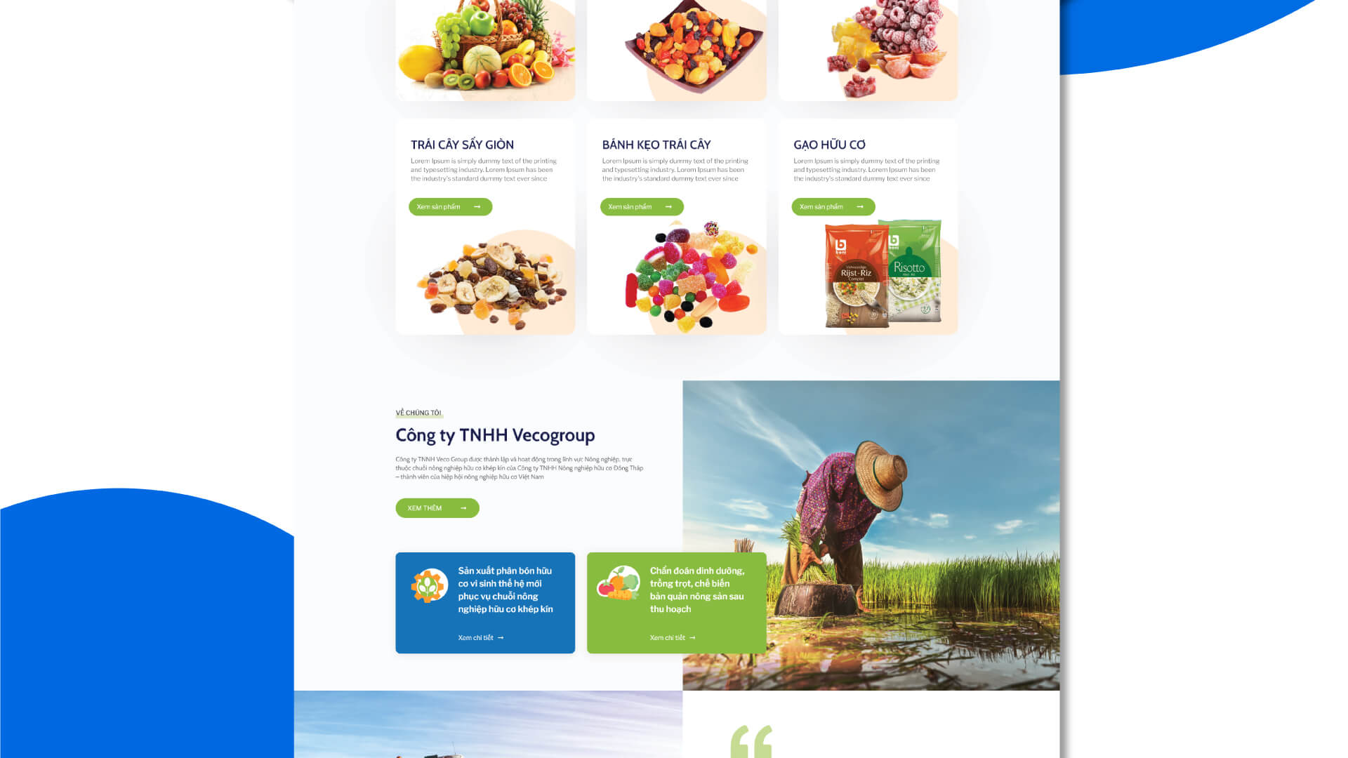 Dự án thiết kế bộ nhận diện thương hiệu, thiết kế website VECO của Sao Kim Branding - 2