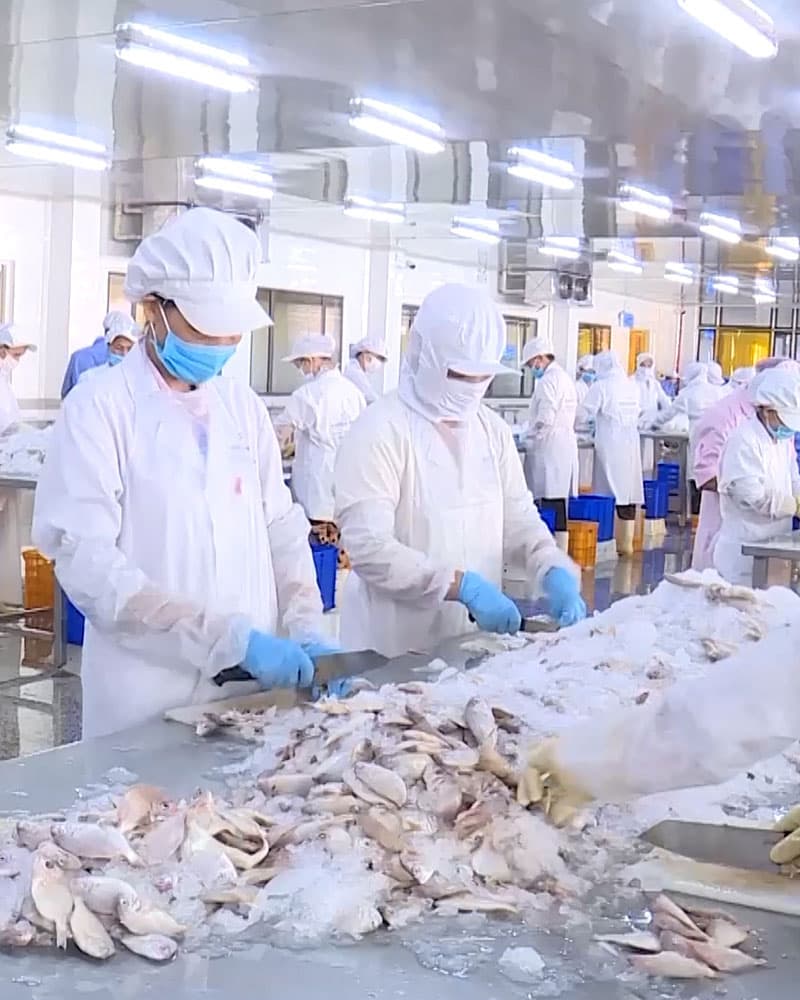 Xây dựng thương hiệu cho công ty chế biến thực phẩm