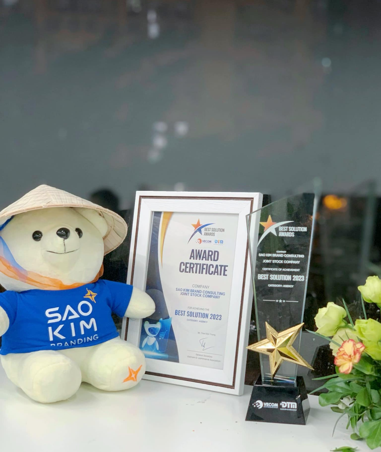 Sao Kim Branding nhận giải thưởng tại Best Solution Awards 2023 (3)