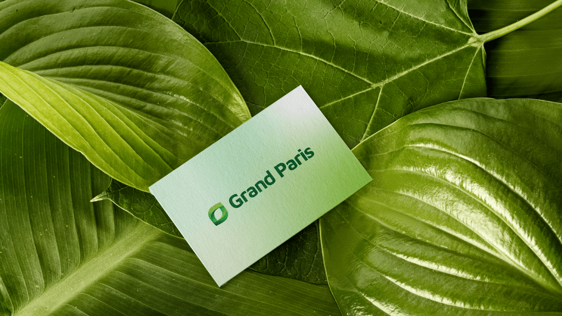 Dự án thiết kế logo thiết kế nhận diện thương hiệu Grand Paris