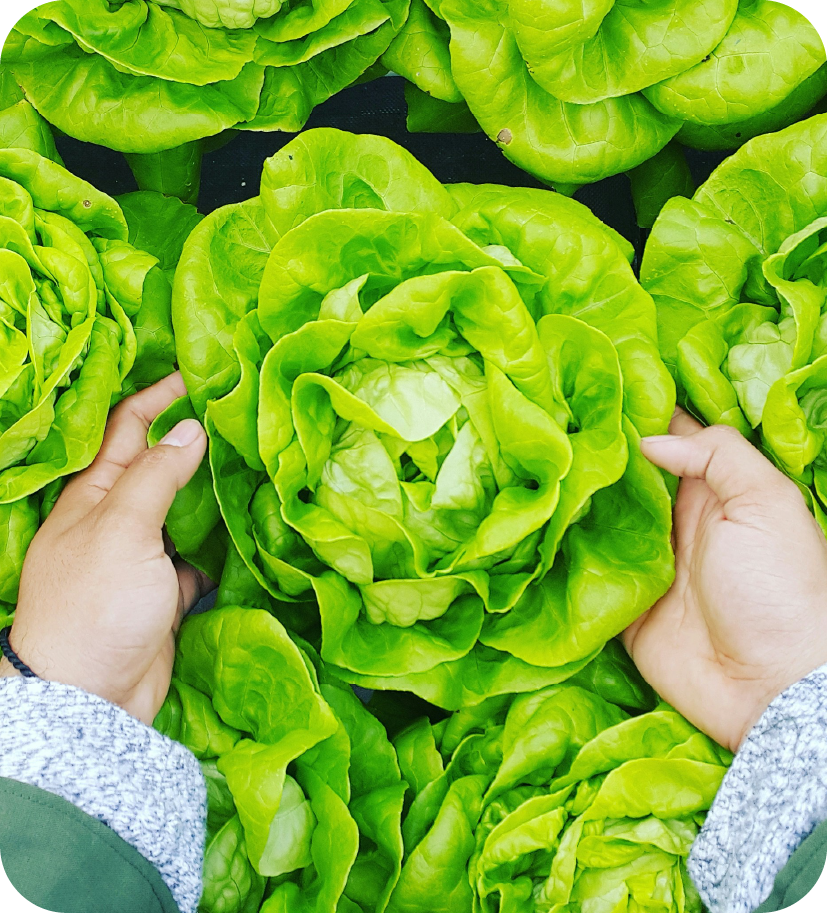 Dự án thiết kế logo thiết kế nhận diện thương hiệu Grand Paris trong lĩnh vực bán lẻ