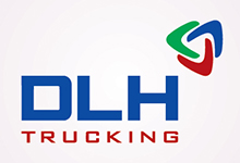 Công Ty Cổ Phần Khoáng Sản DLH