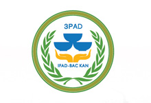 Dự án 3PAD