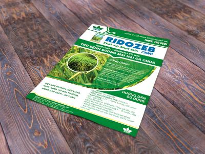 Thiết kế logo và hệ thống nhận diện thương hiệu Nông Dược HAI
