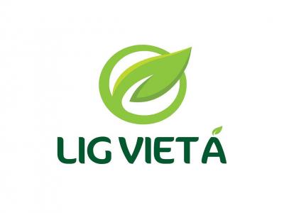 Lig Việt Á