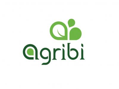 Thiết kế nhận diện thương hiệu công ty nông nghiệp An Bình