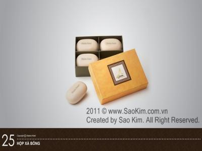 Thiết kế nhận diện thương hiệu khách sạn 4* ALASKA HOTEL