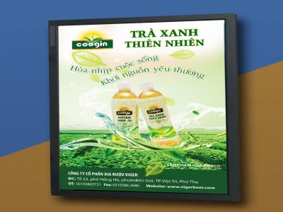 Thiết kế thương hiệu cho trà xanh đóng chai