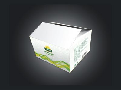 Thiết kế thương hiệu cho trà xanh đóng chai