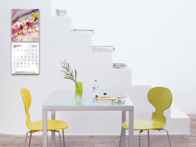 Thiết kế thương hiệu taxi Sao Thế Kỷ